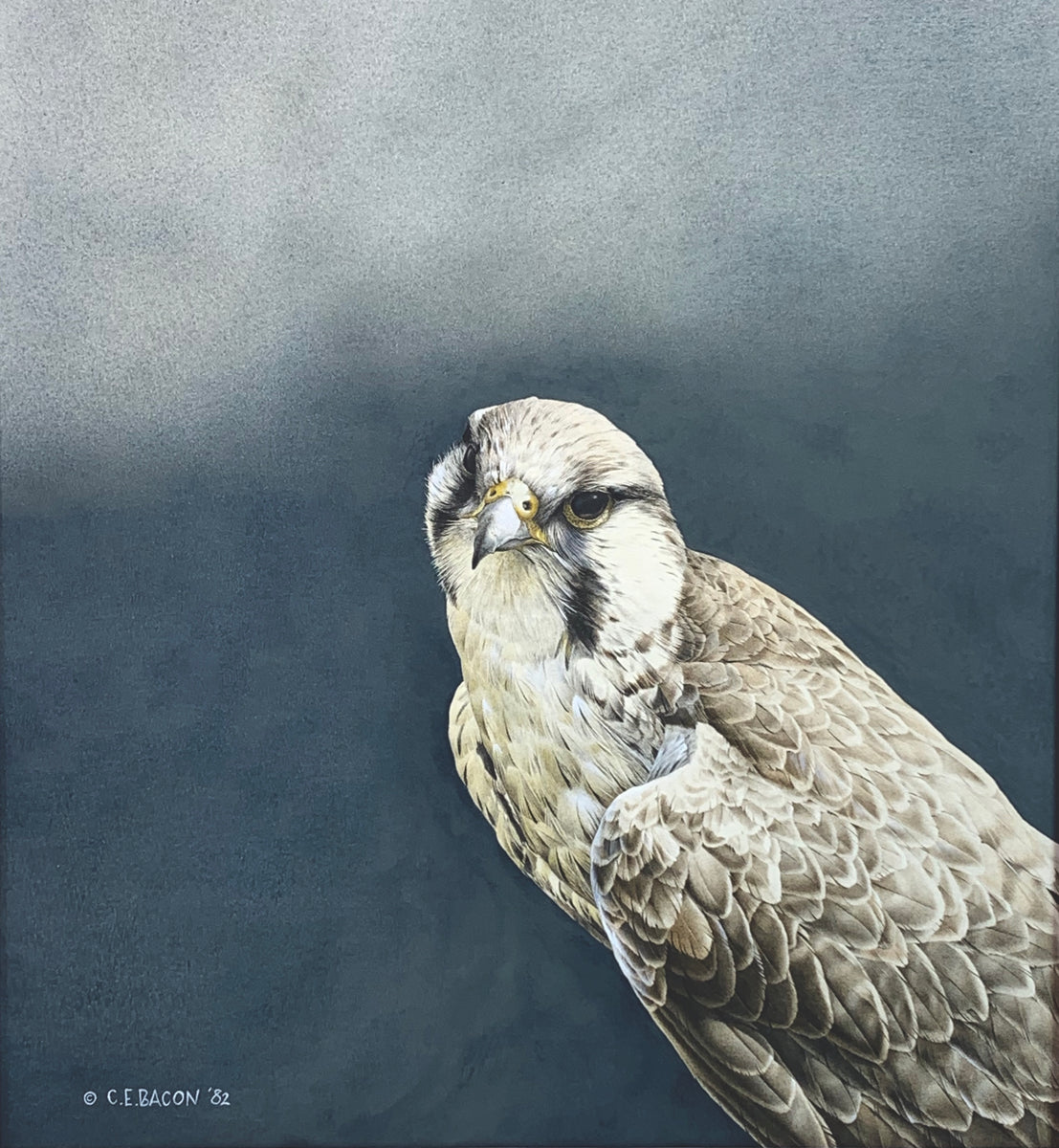 Chris Bacon – McMaster Fine Art