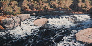 Rapids, North Madawaska River