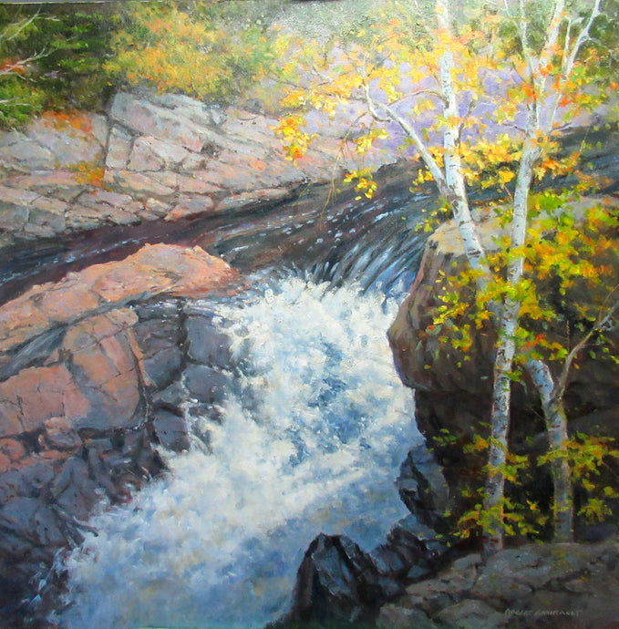 Sun on the Falls