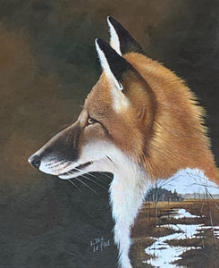 Red Fox and Bala Marsh